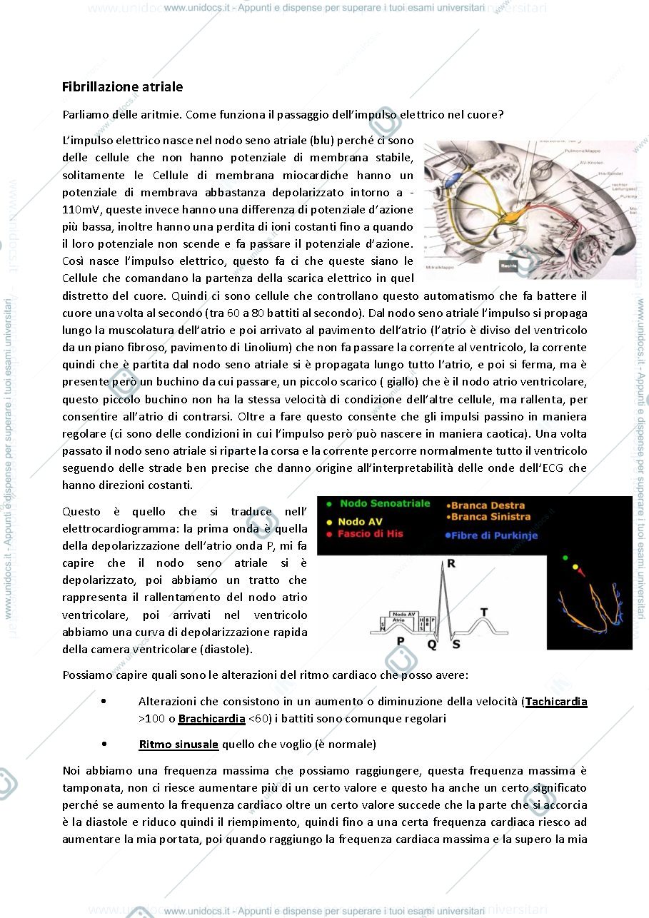 Anteprima pagina 1 — Fibrillazione atriale