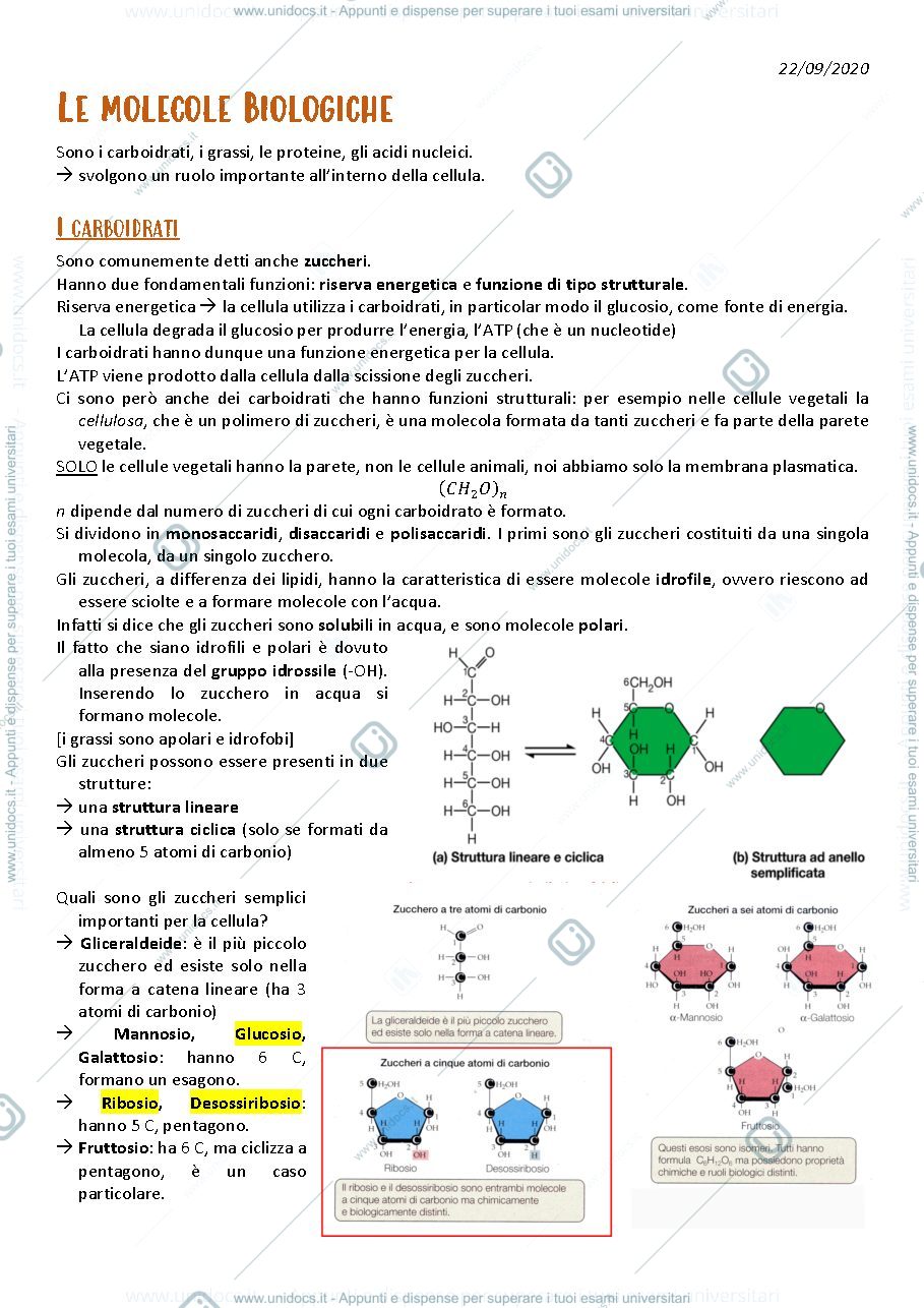Anteprima pagina 1 — appunti 