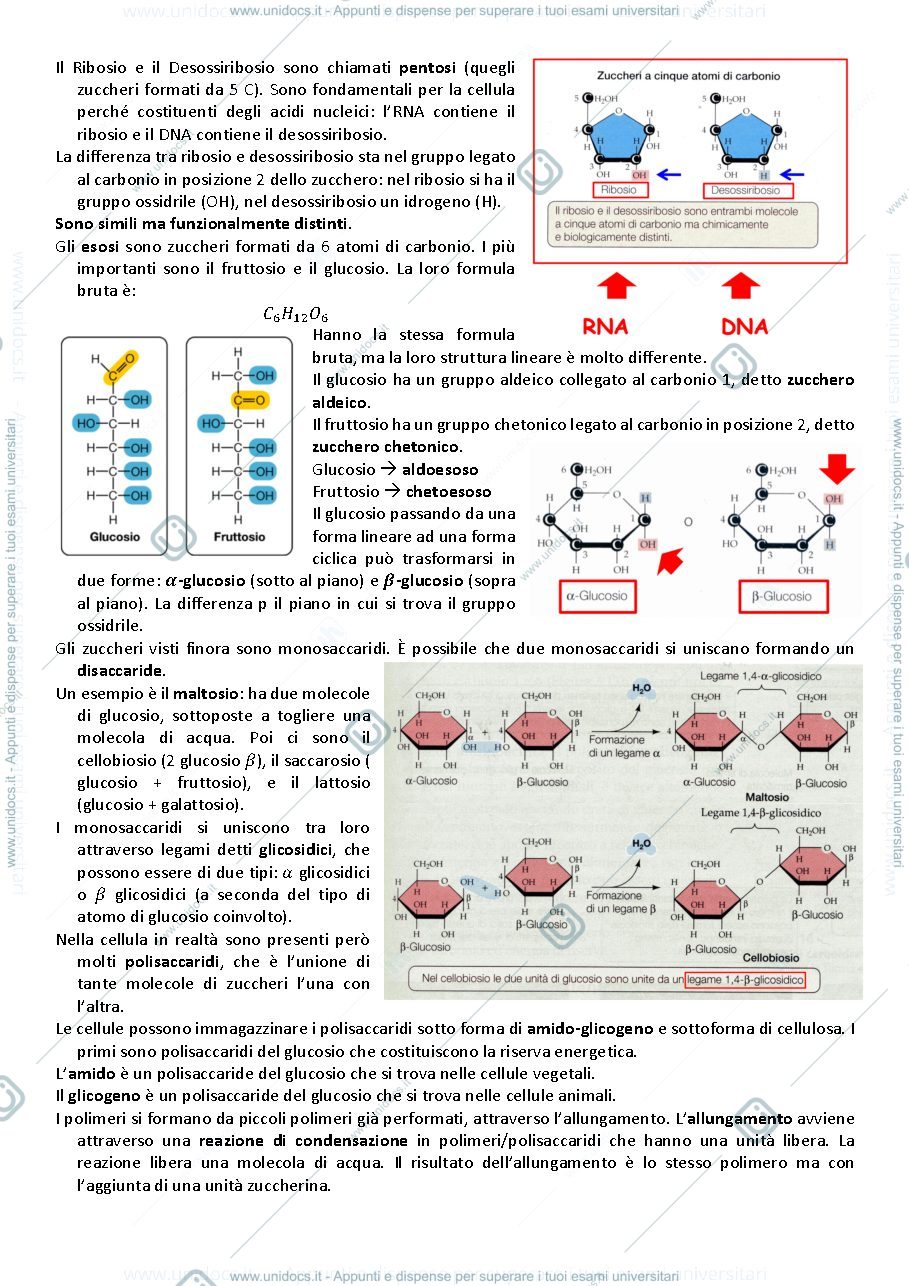 Anteprima pagina 2 — appunti 