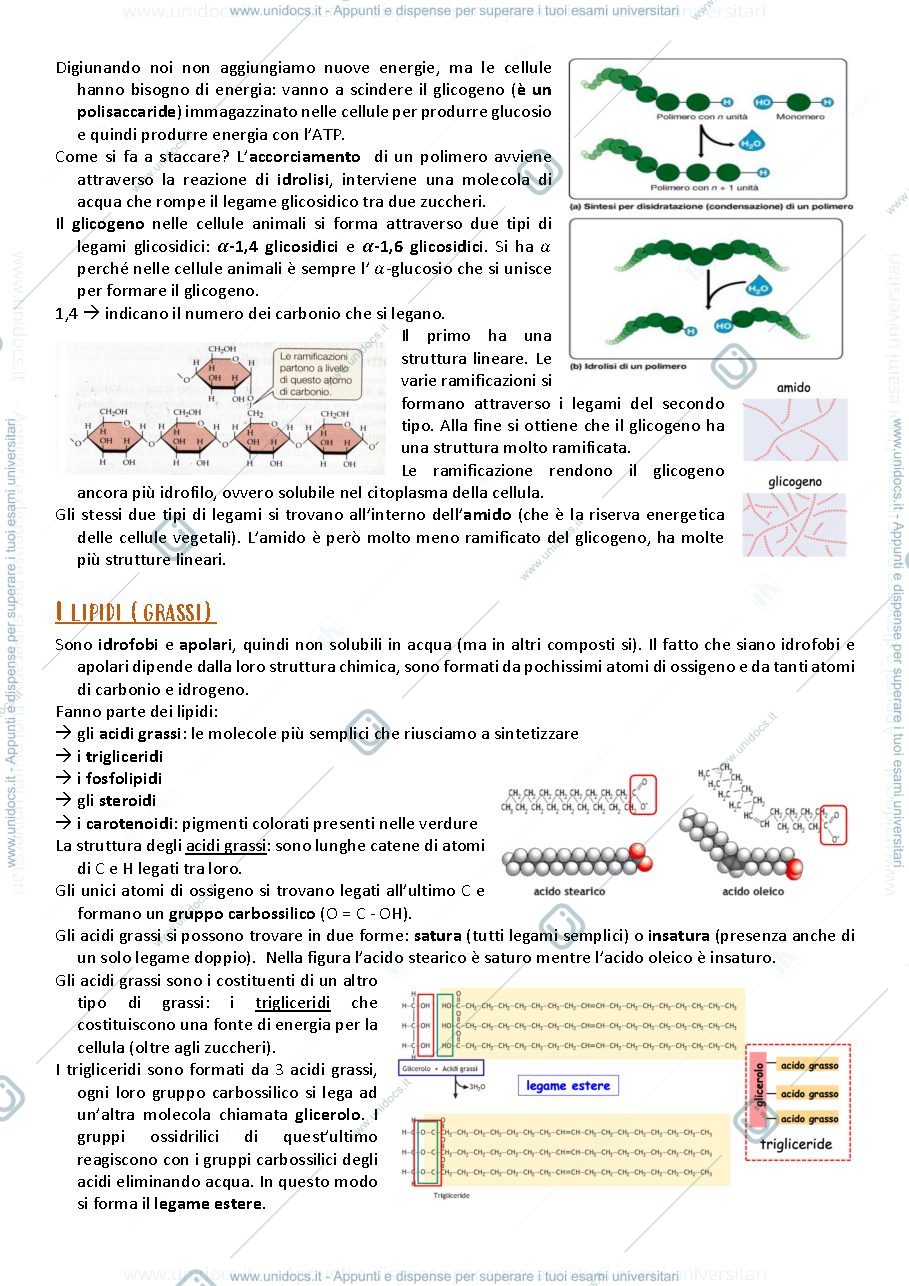 Anteprima pagina 3 — appunti 