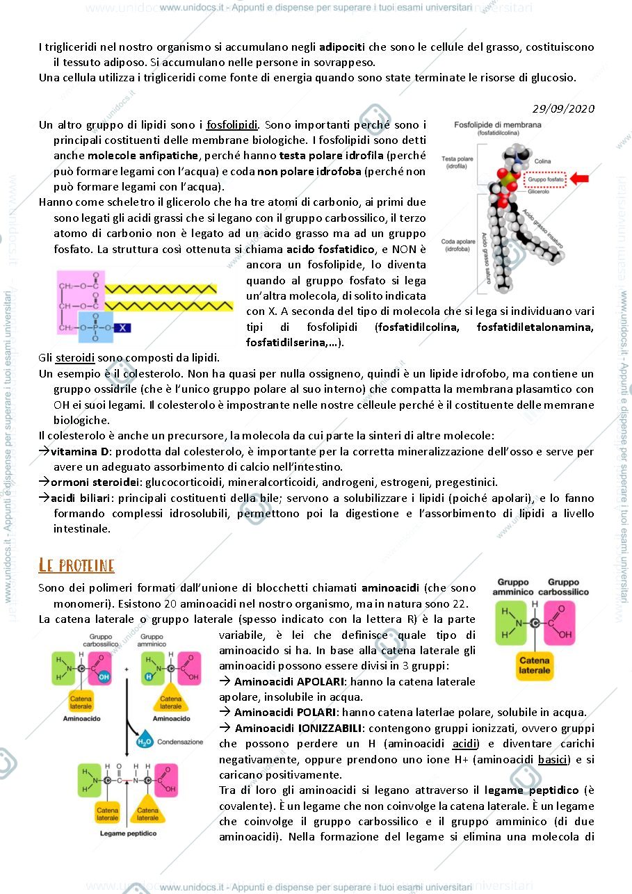 Anteprima pagina 4 — appunti 