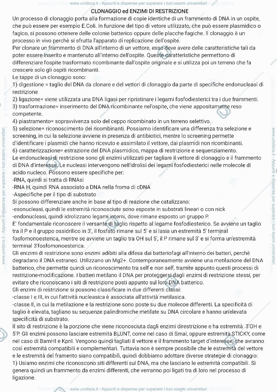 Anteprima pagina 1 — RIASSUNTI di TECNOLOGIE BIO MOLECOLARI 