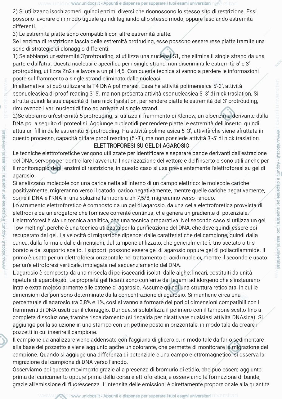 Anteprima pagina 2 — RIASSUNTI di TECNOLOGIE BIO MOLECOLARI 