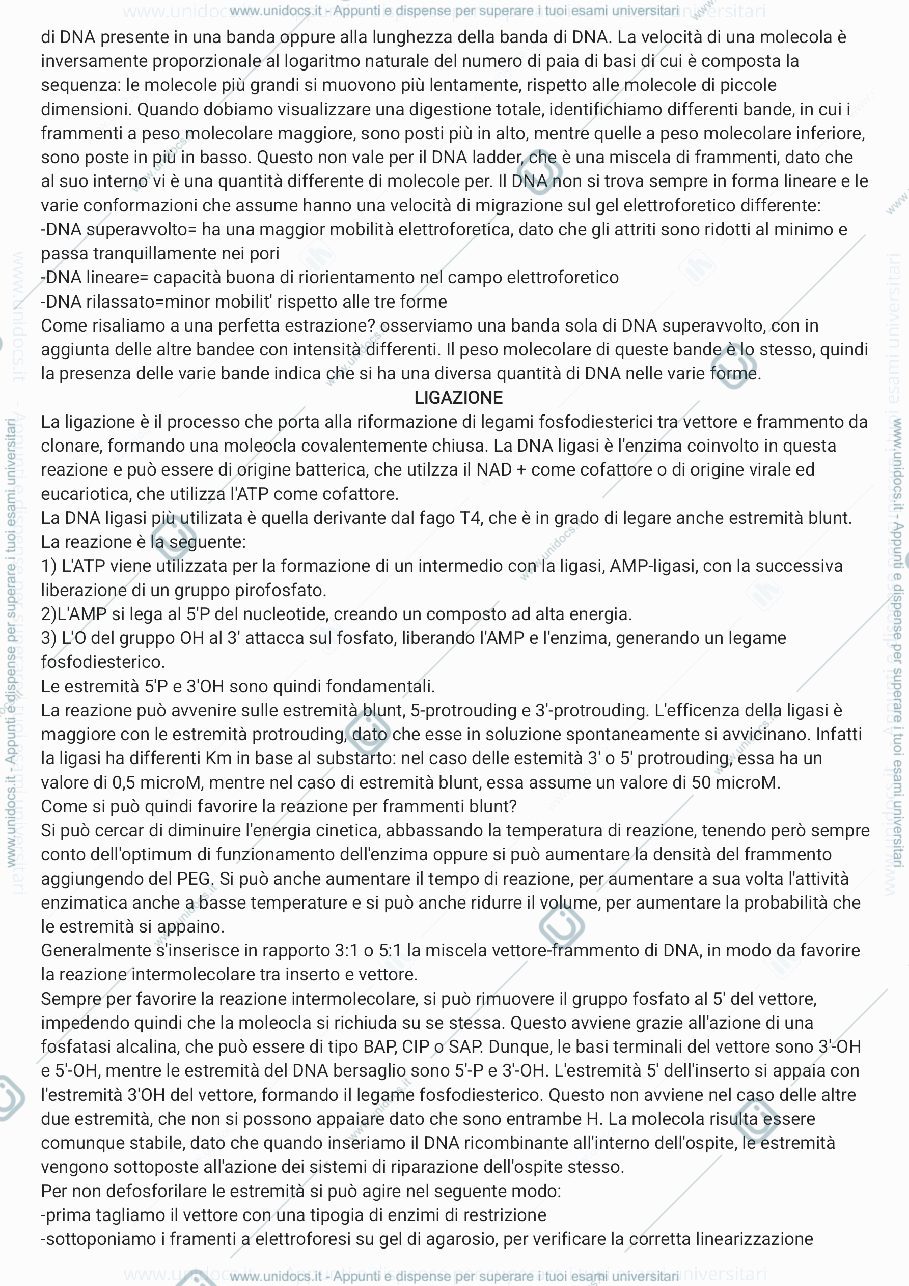 Anteprima pagina 3 — RIASSUNTI di TECNOLOGIE BIO MOLECOLARI 