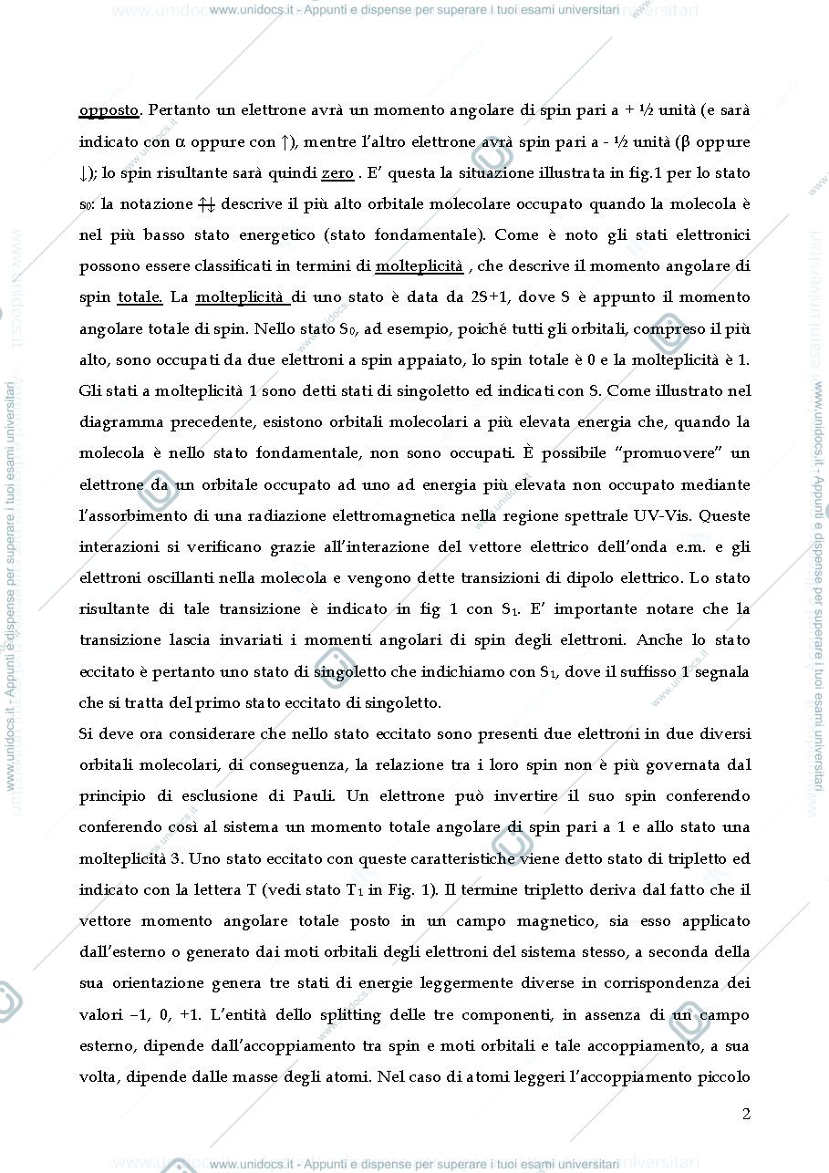 Anteprima pagina 2 — FLUORESCENZA