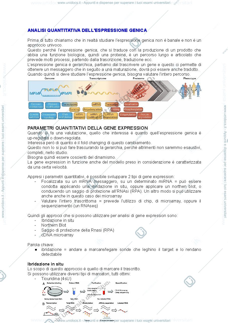 Anteprima pagina 3 — METODOLOGIE BIOCHIMICHE