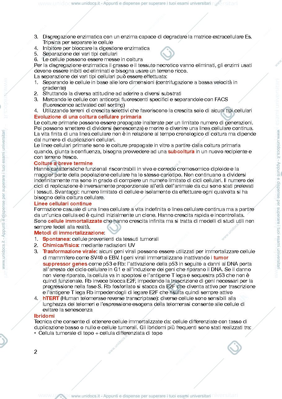 Anteprima pagina 2 — Metdologie cellulari