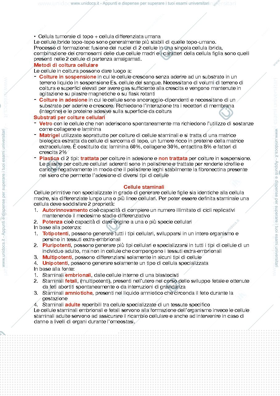 Anteprima pagina 3 — Metdologie cellulari