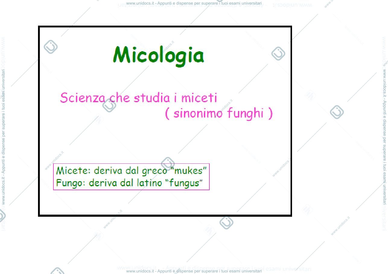 Anteprima pagina 1 — funghi 