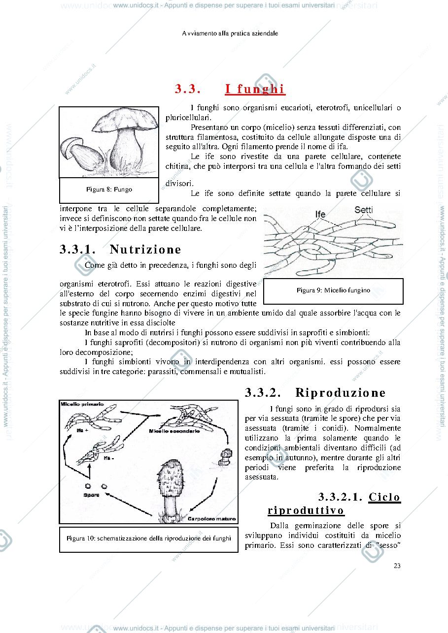 Anteprima pagina 1 — funghi
