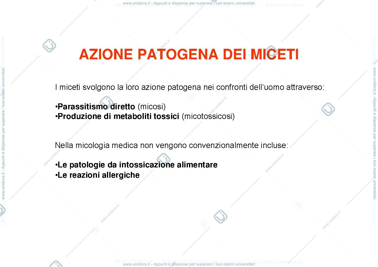Anteprima pagina 1 — azione patogena dei miceti