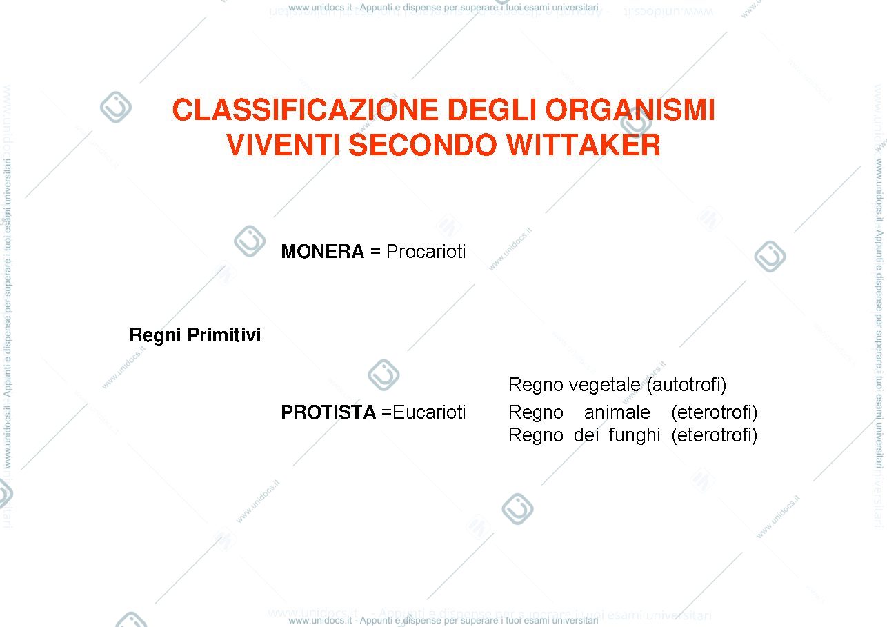 Anteprima pagina 2 — azione patogena dei miceti