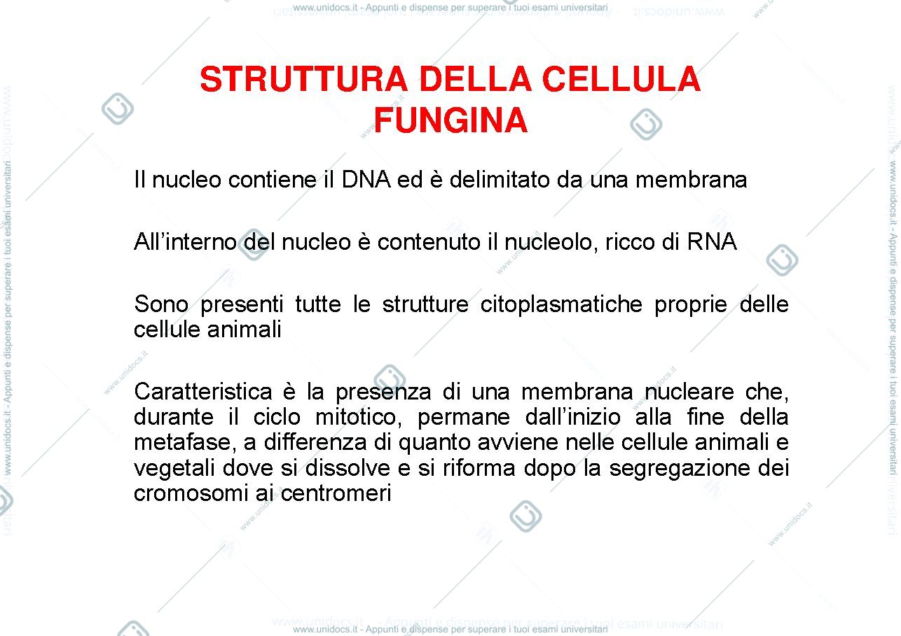 Anteprima pagina 3 — azione patogena dei miceti