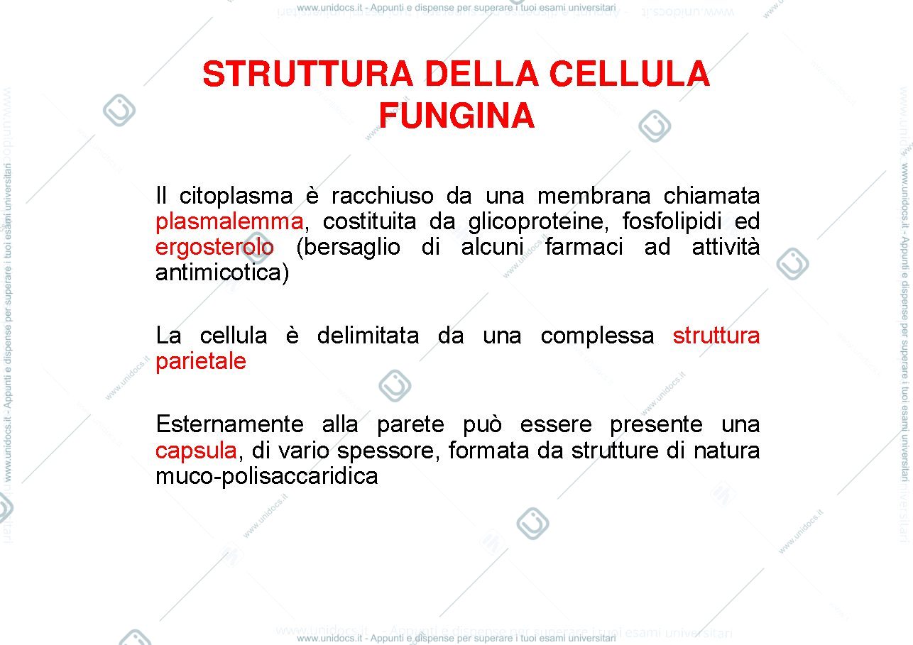 Anteprima pagina 4 — azione patogena dei miceti