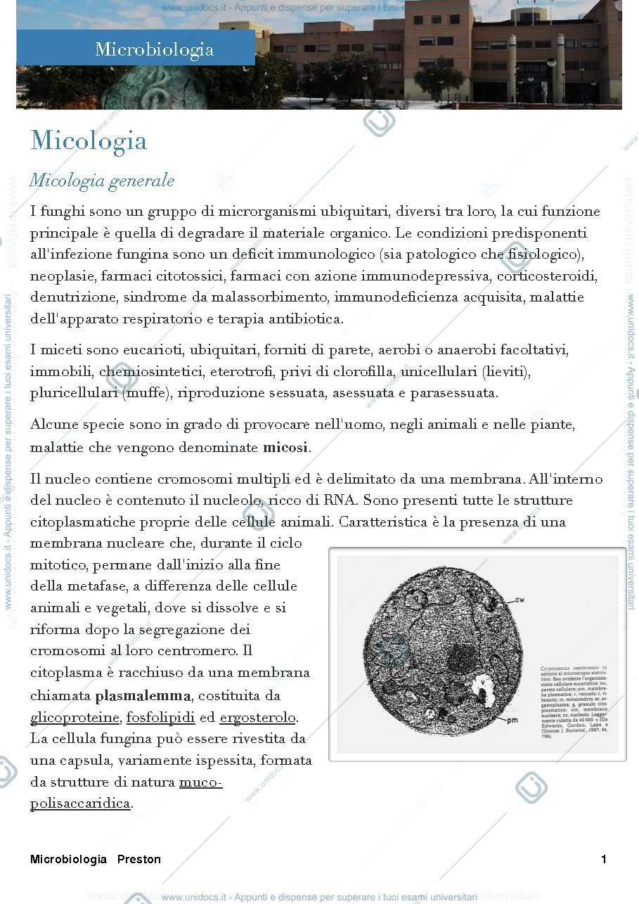 Anteprima pagina 1 — Micologia