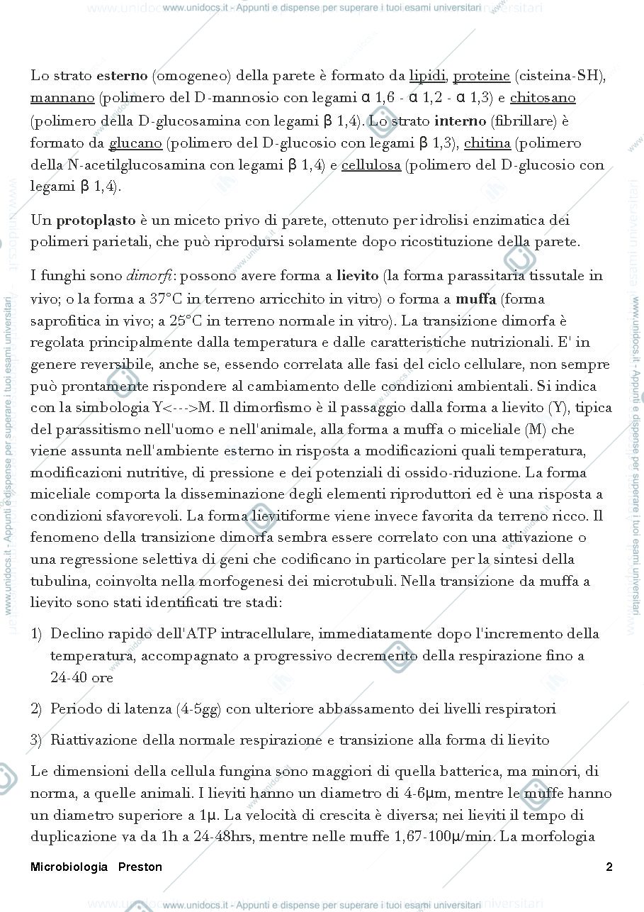 Anteprima pagina 2 — Micologia