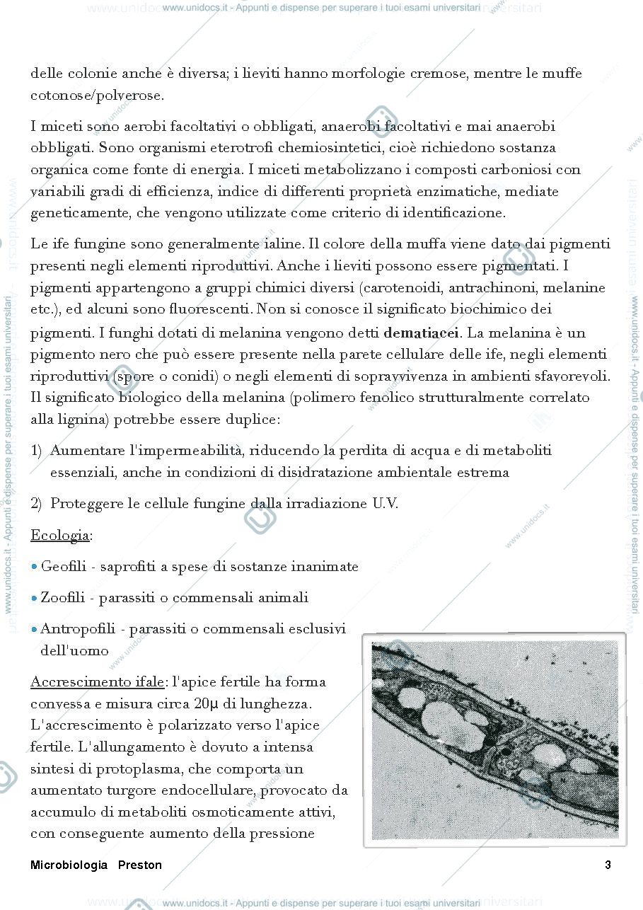 Anteprima pagina 3 — Micologia