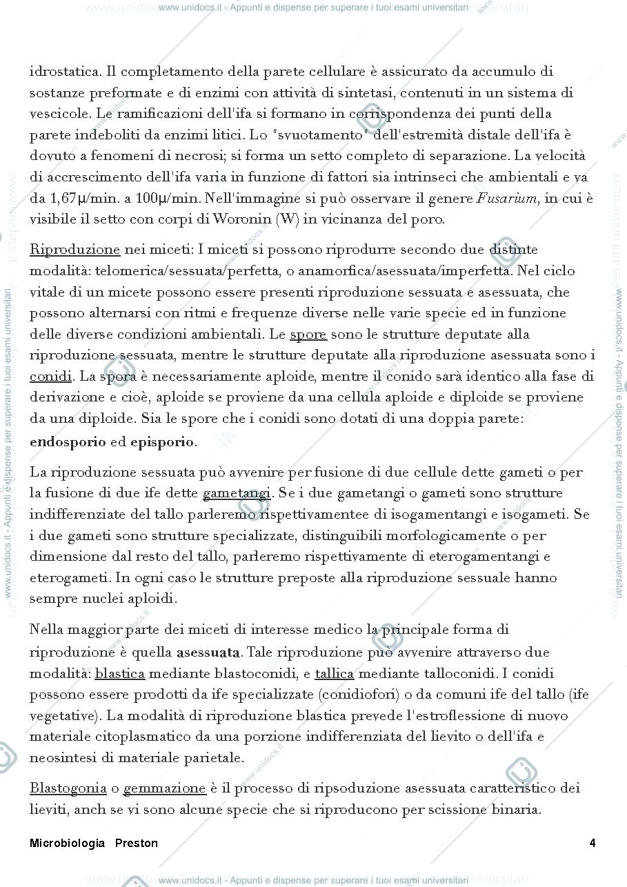 Anteprima pagina 4 — Micologia