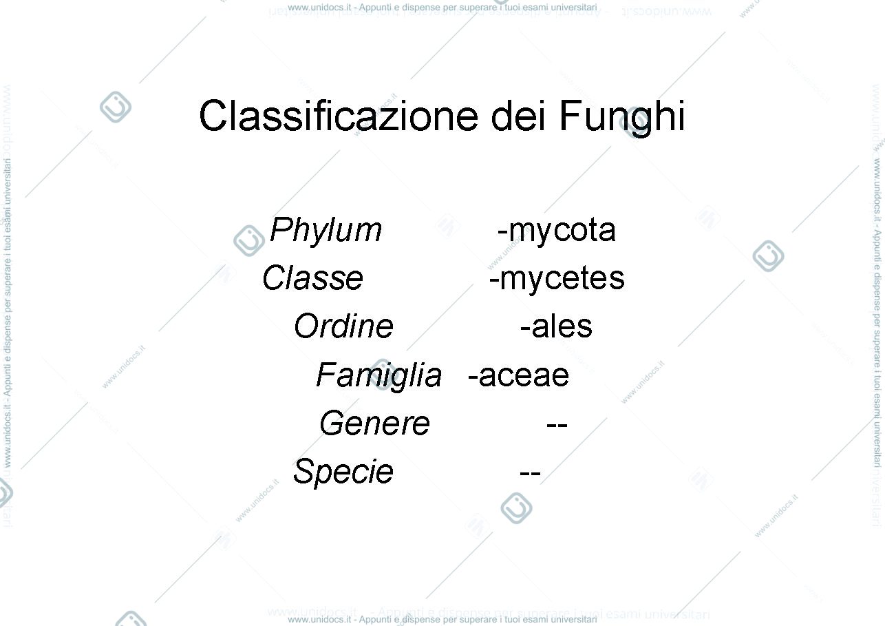 Anteprima pagina 1 — Classificazione dei Funghi