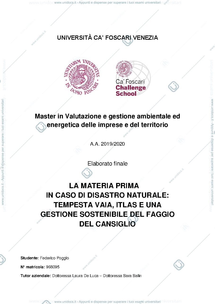 Anteprima pagina 1 — Tesi di Laurea