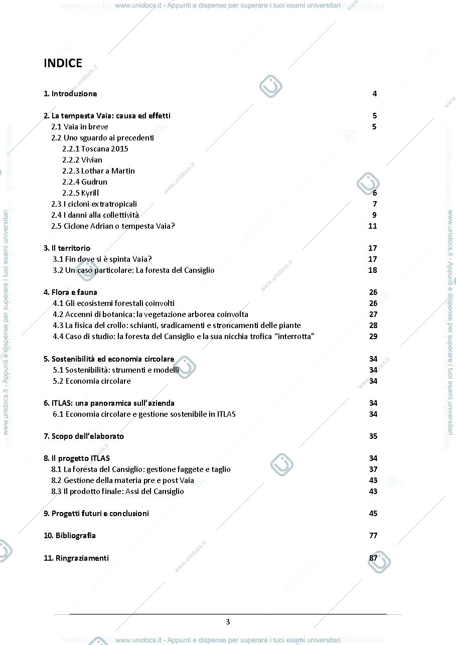 Anteprima pagina 3 — Tesi di Laurea