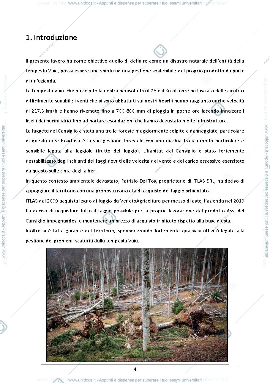 Anteprima pagina 4 — Tesi di Laurea