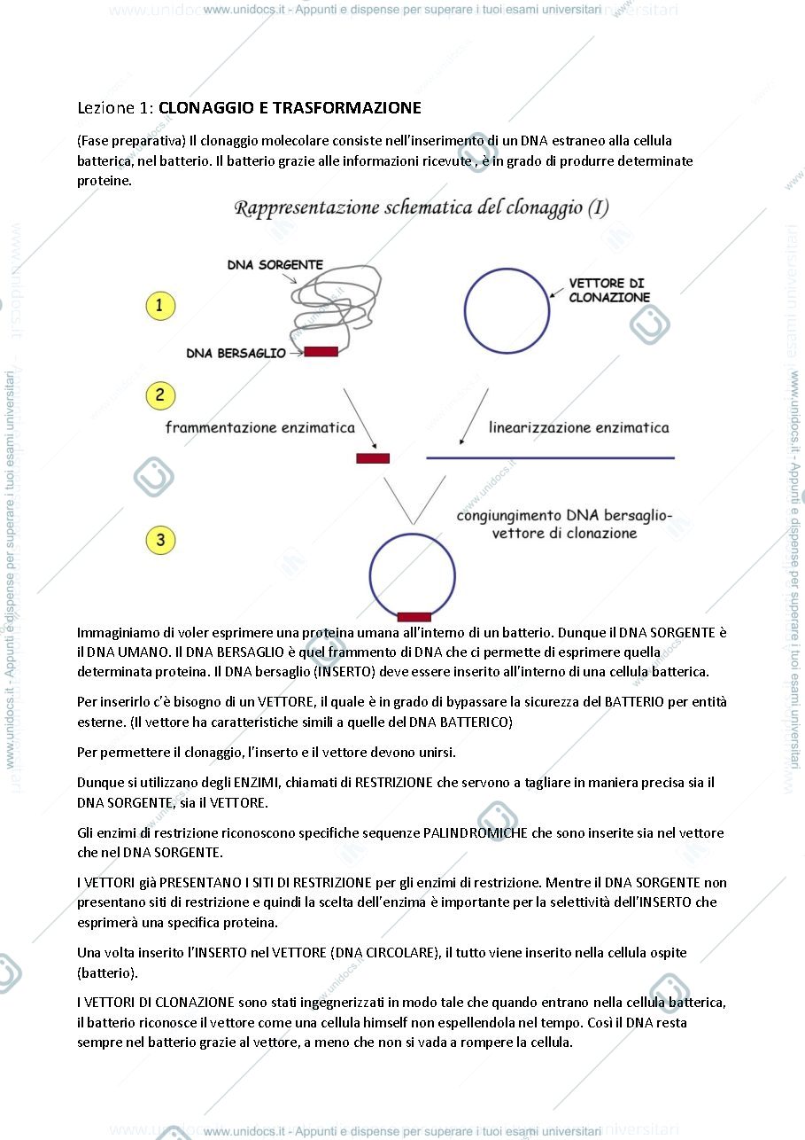 Anteprima pagina 1 — Prima Lezione - Metodologie per la produzione e caratterizzazione di biomolecole