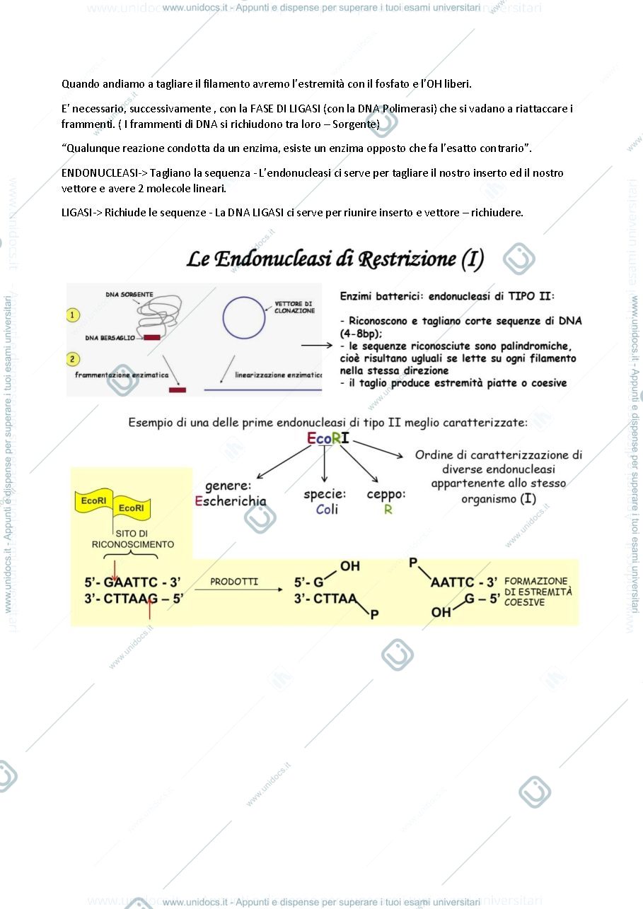 Anteprima pagina 3 — Prima Lezione - Metodologie per la produzione e caratterizzazione di biomolecole