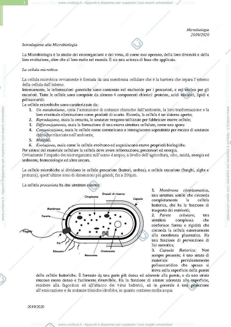 Anteprima pagina 1 — Riassunto Microbiologia