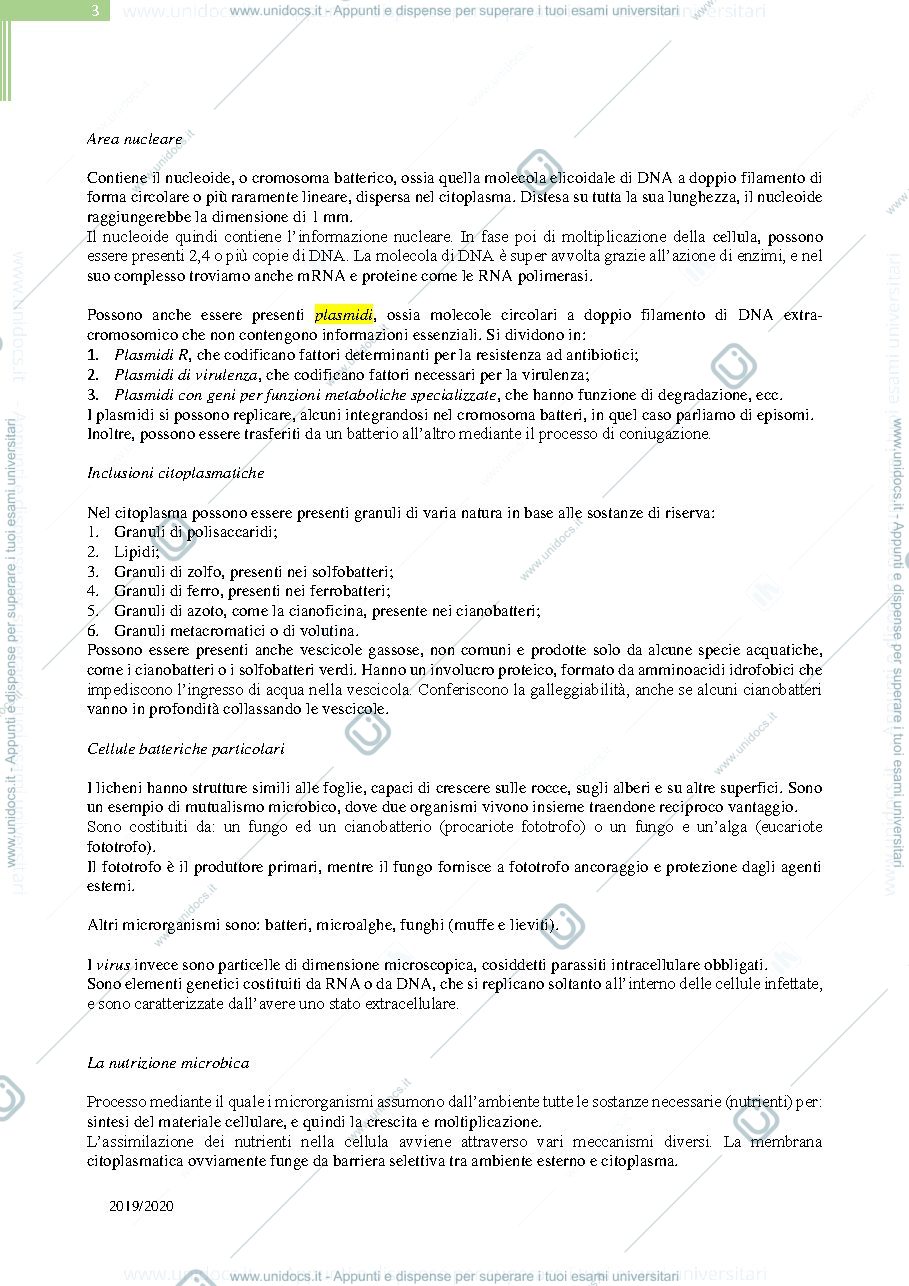 Anteprima pagina 3 — Riassunto Microbiologia