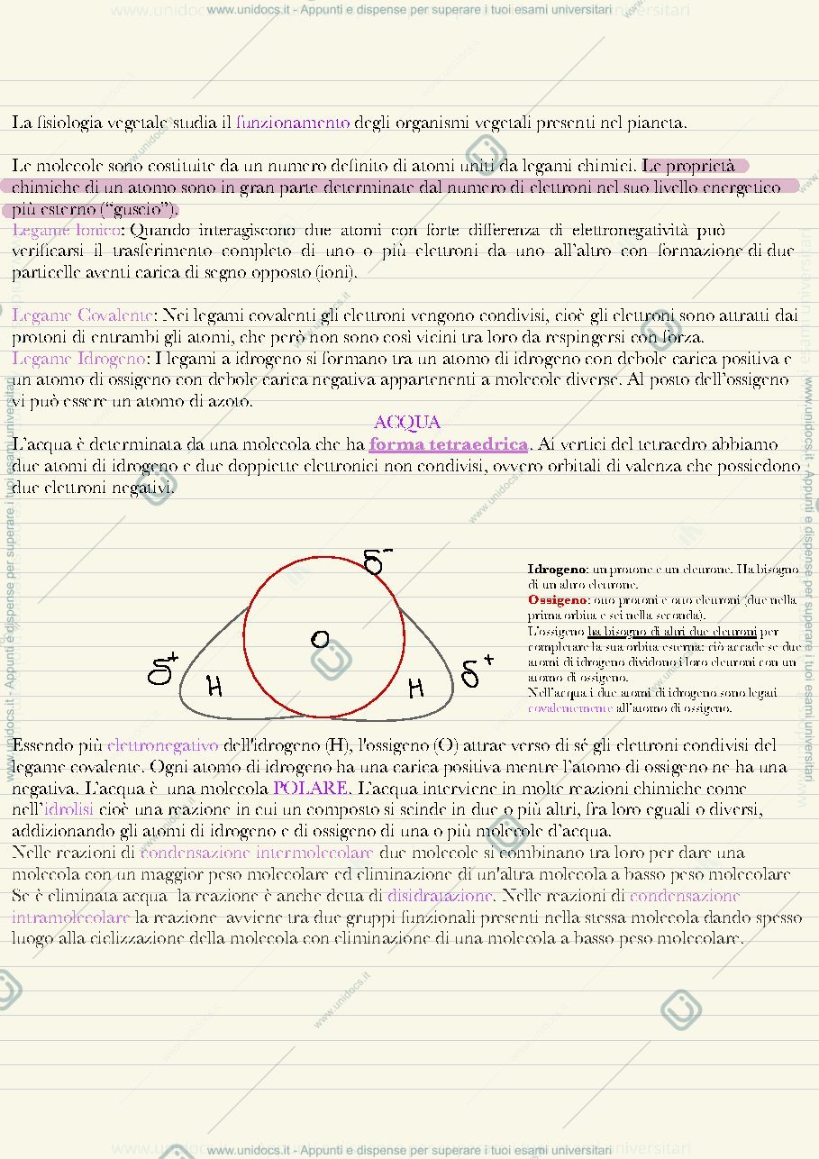 Anteprima pagina 2 — Fisiologia vegetale
