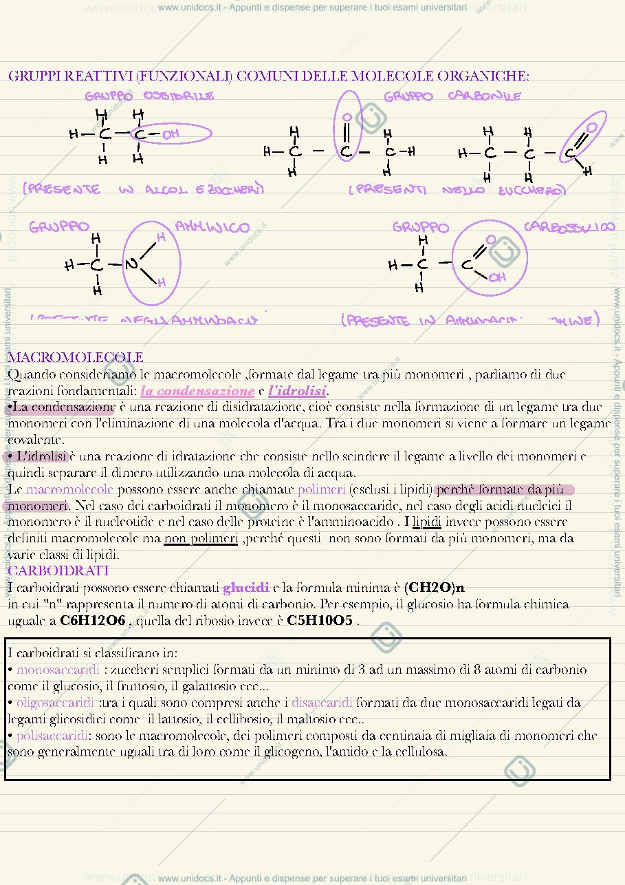 Anteprima pagina 3 — Fisiologia vegetale