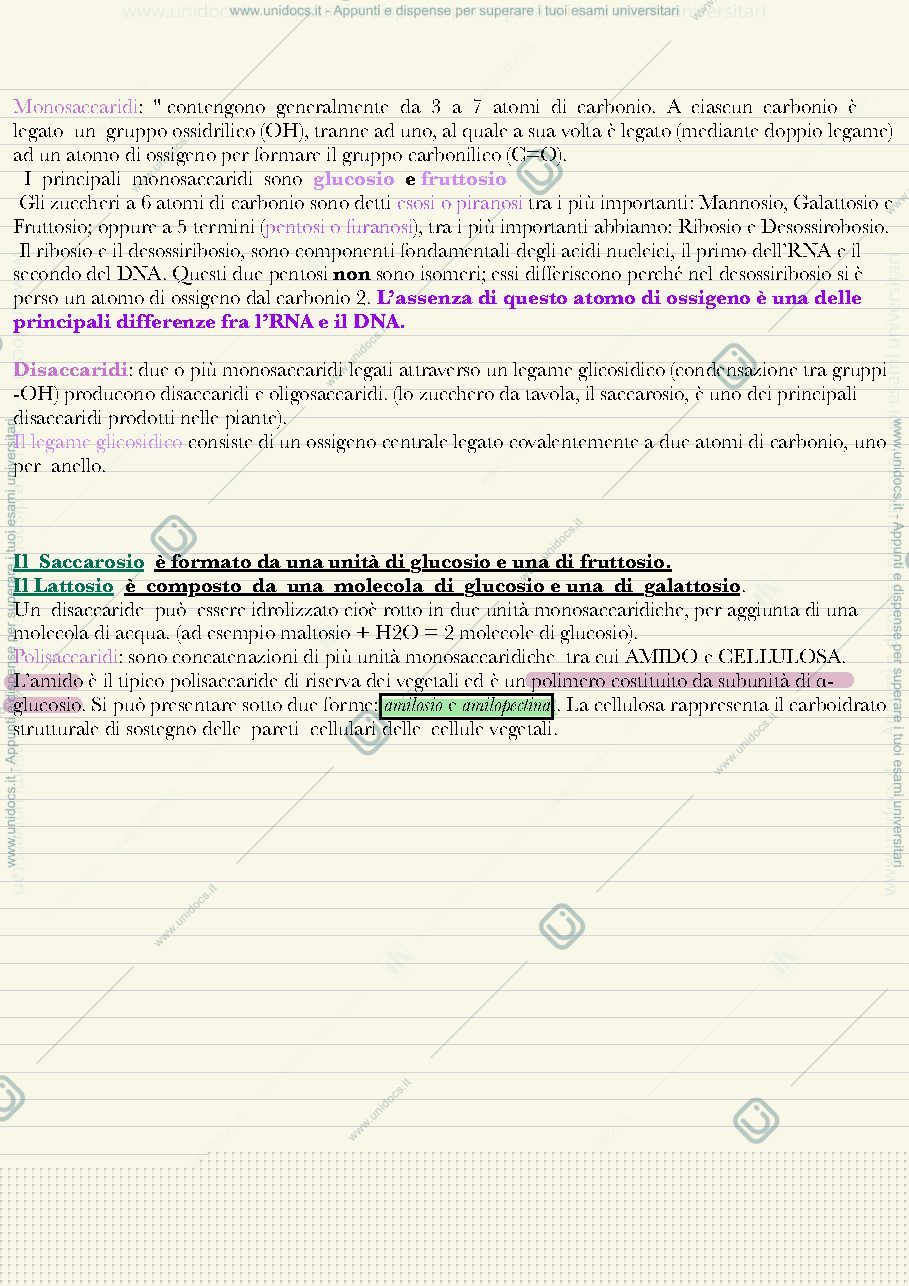 Anteprima pagina 4 — Fisiologia vegetale