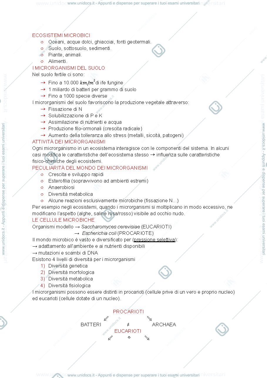 Anteprima pagina 3 — MICROBIOLOGIA AGRARIA riassunto