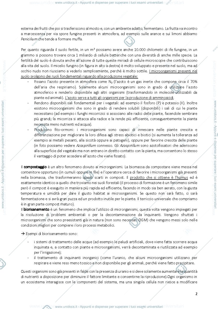Anteprima pagina 2 — Appunti di microbiologia Agraria