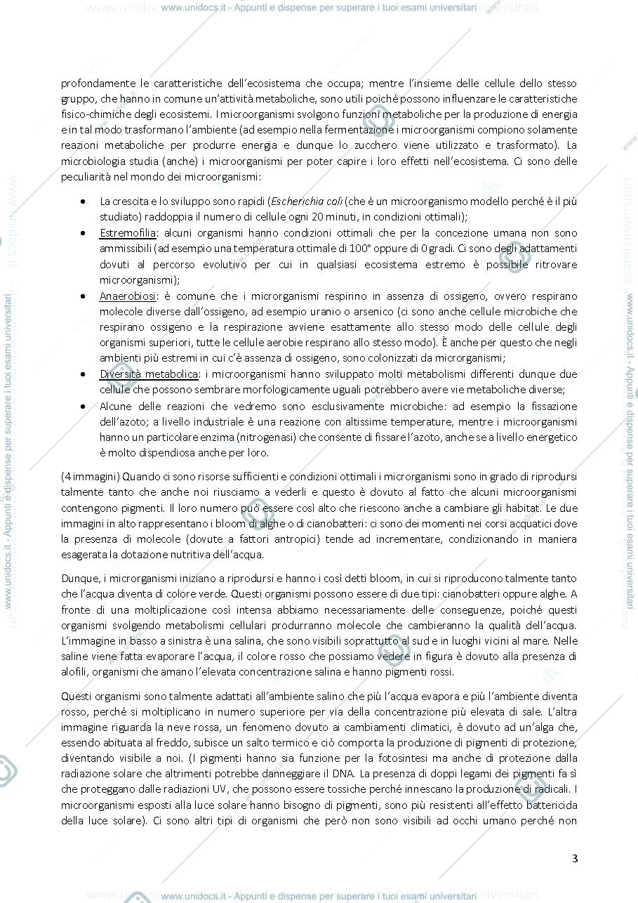 Anteprima pagina 3 — Appunti di microbiologia Agraria
