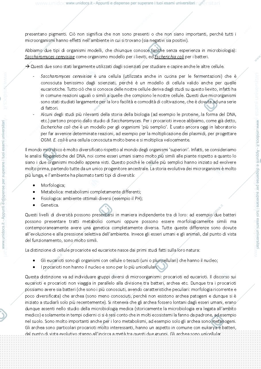 Anteprima pagina 4 — Appunti di microbiologia Agraria