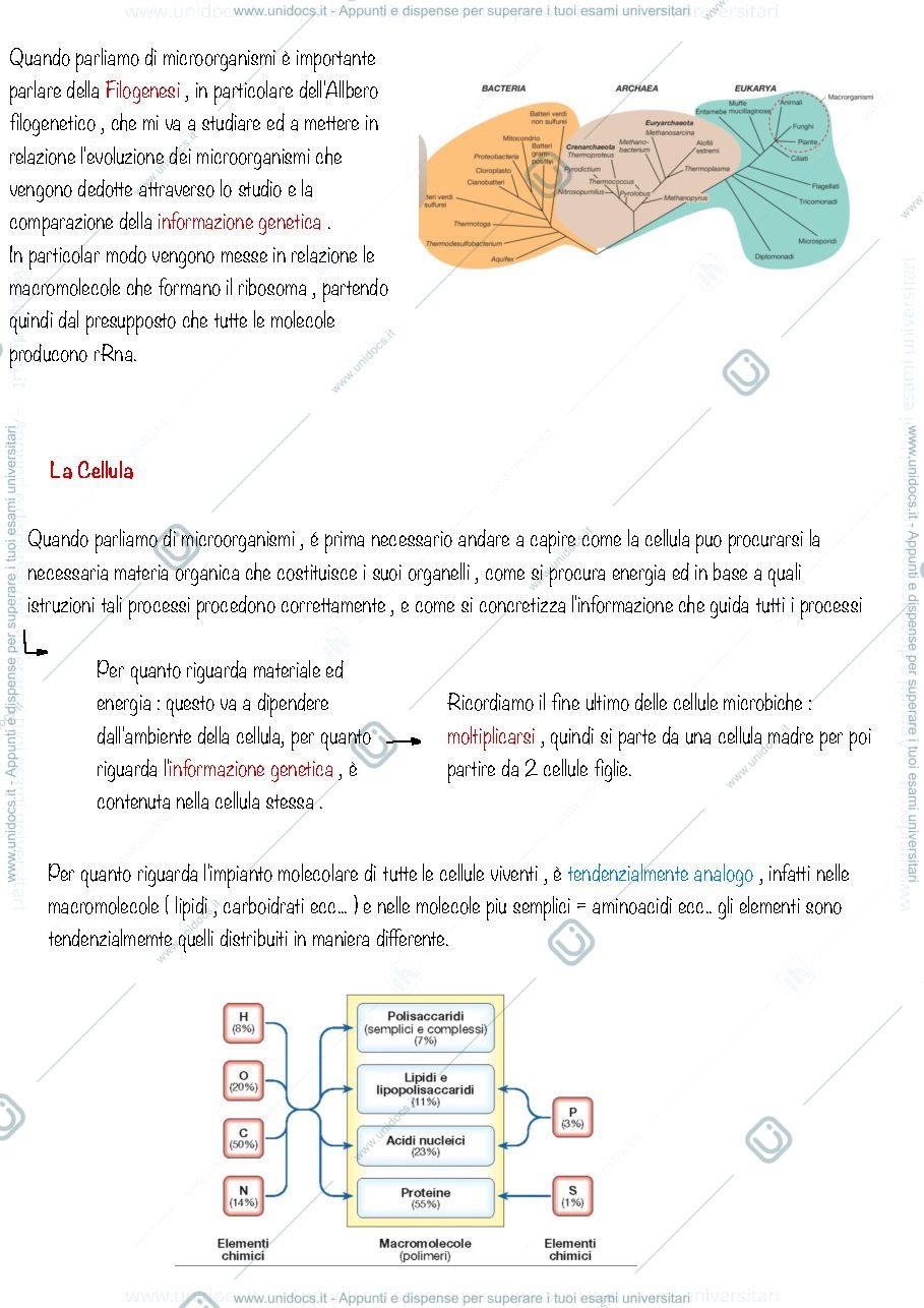 Anteprima pagina 4 — Microbiologia applicata alle produzioni animali