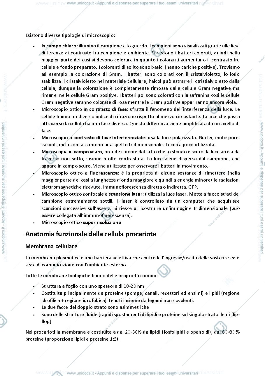 Anteprima pagina 3 — Appunti Microbiologia