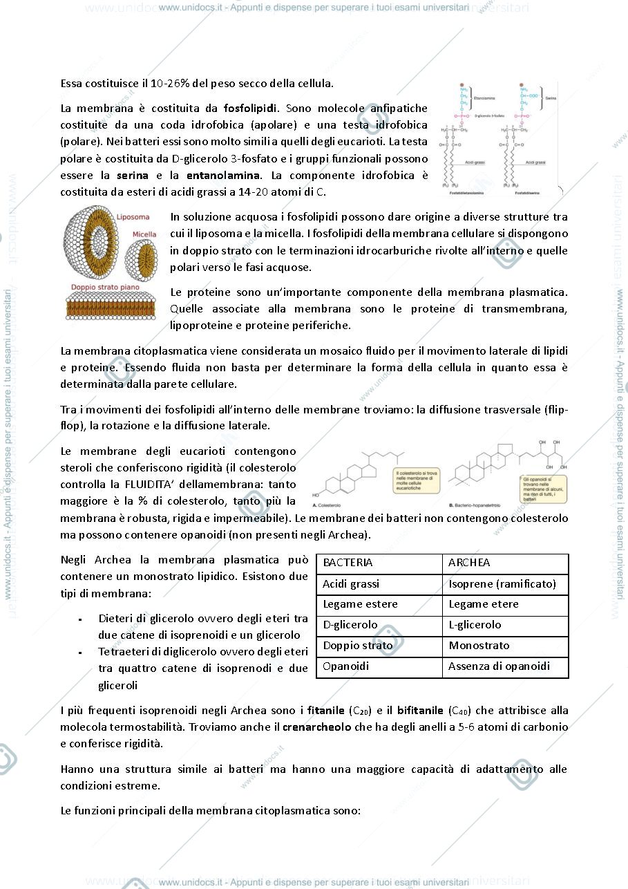 Anteprima pagina 4 — Appunti Microbiologia