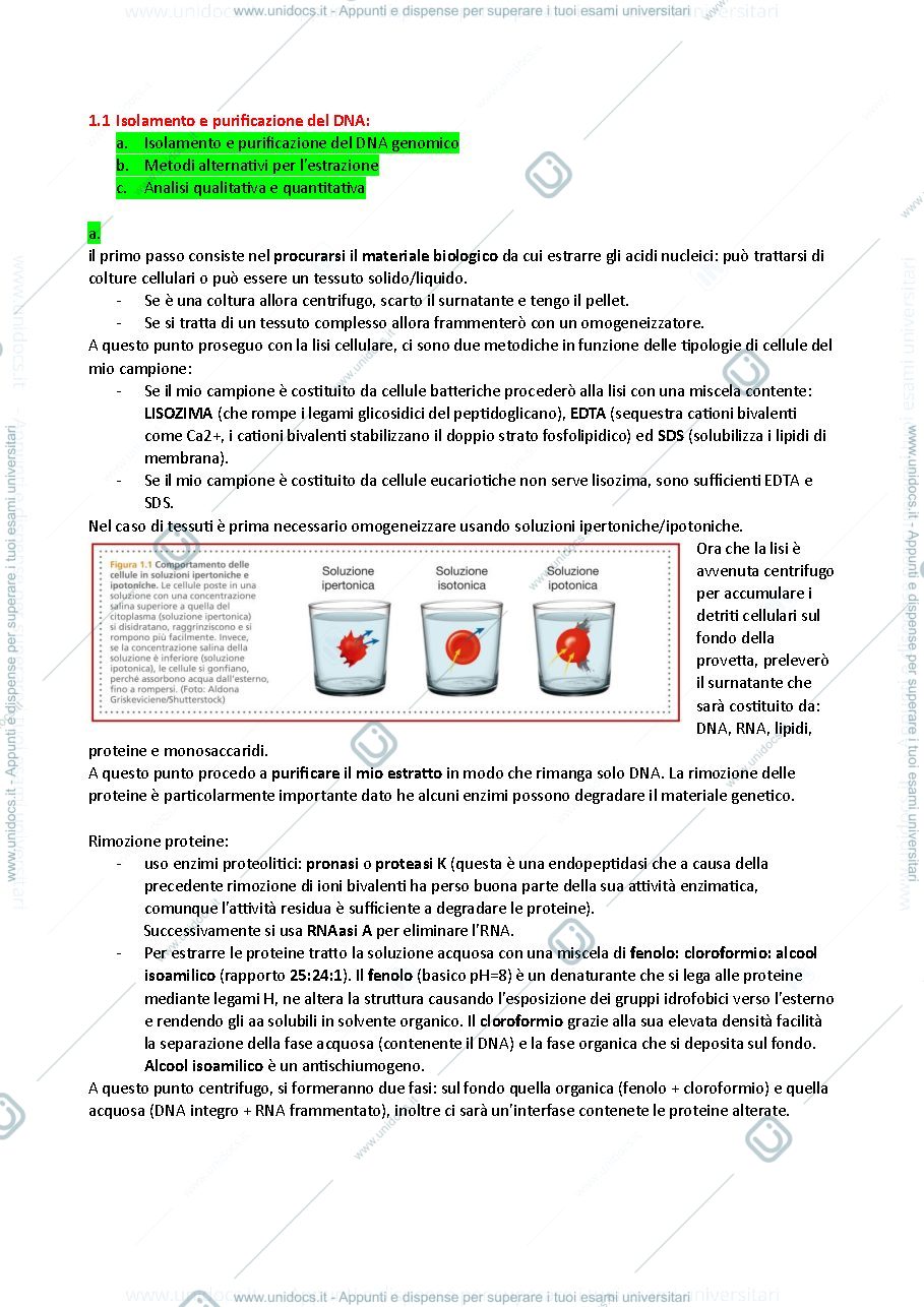 Anteprima pagina 1 — Ingegneria genetica 