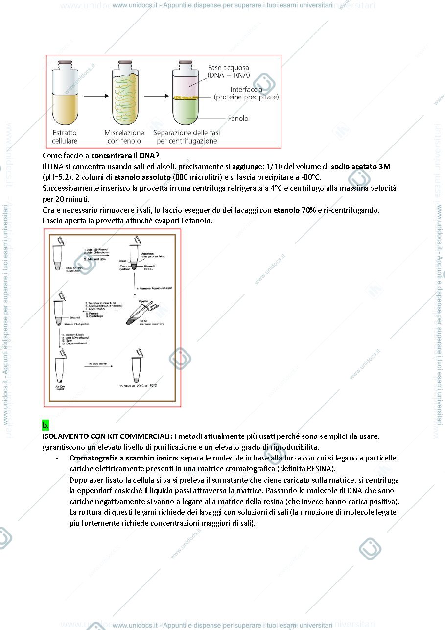 Anteprima pagina 2 — Ingegneria genetica 