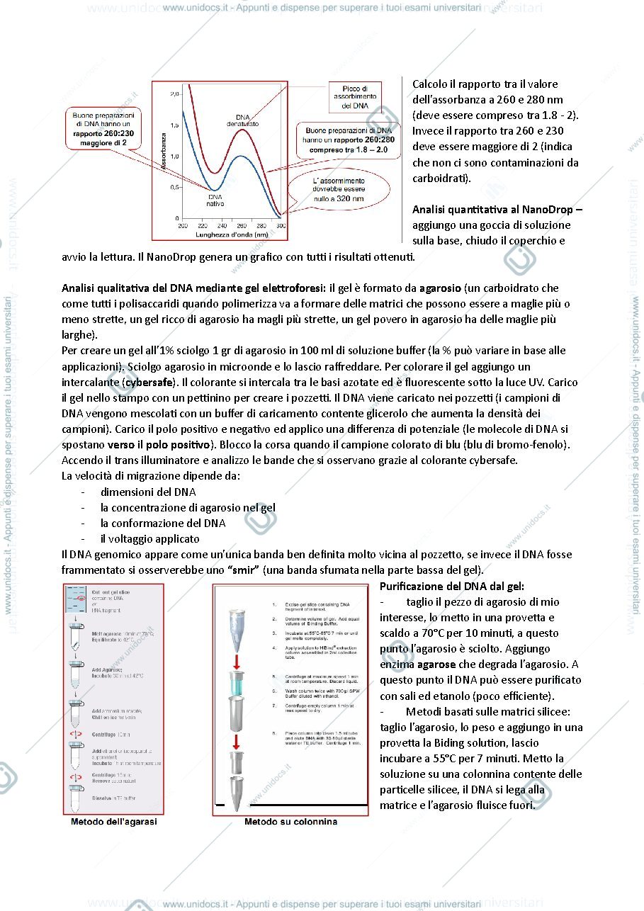 Anteprima pagina 4 — Ingegneria genetica 