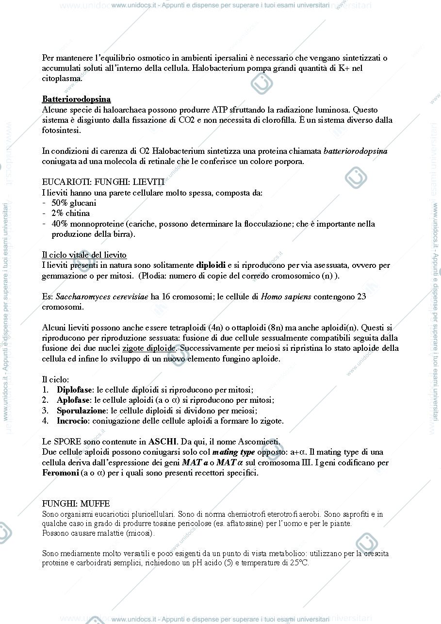 Anteprima pagina 3 — microbiologia ambientale