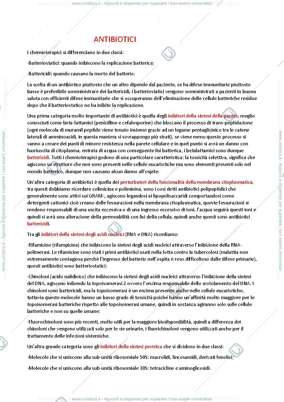 Anteprima pagina 1 — Antibiotici