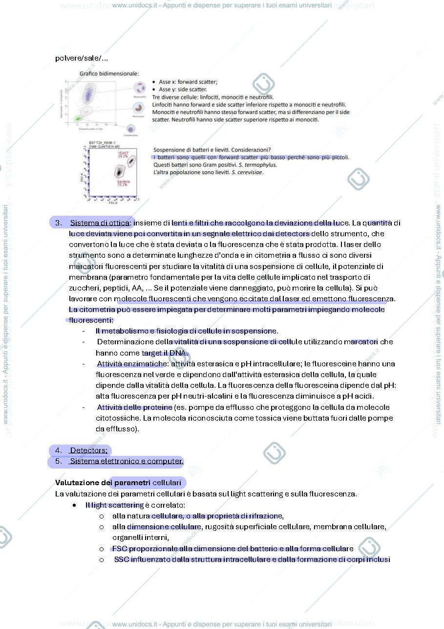 Anteprima pagina 4 — Domande e appunti microbiologiche applicata 