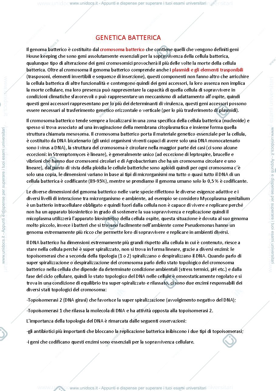 Anteprima pagina 1 — Genetica batterica
