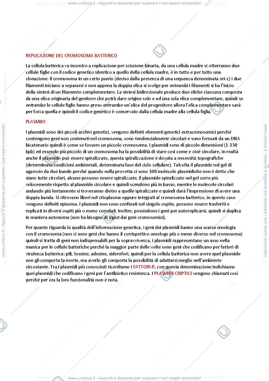 Anteprima pagina 2 — Genetica batterica