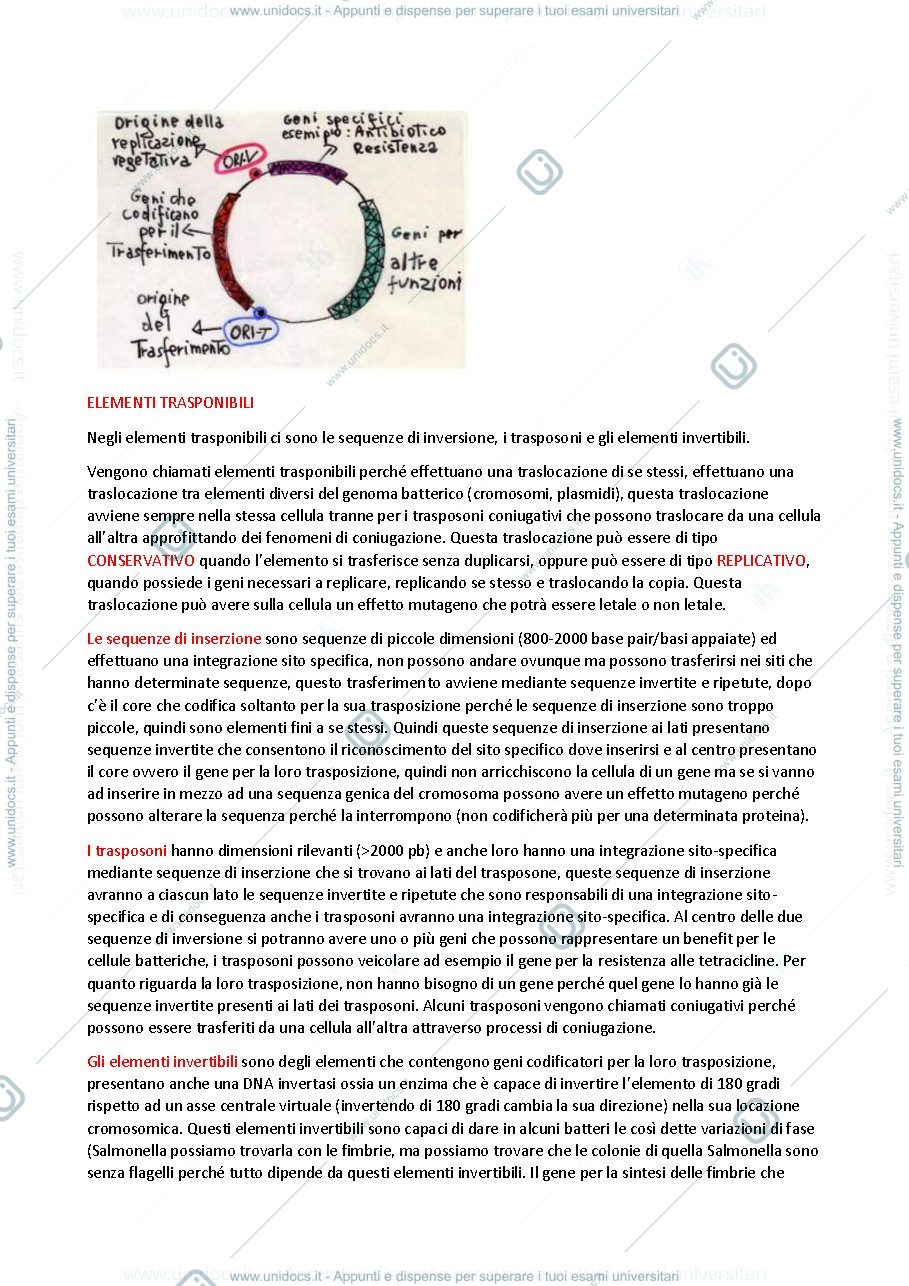 Anteprima pagina 3 — Genetica batterica
