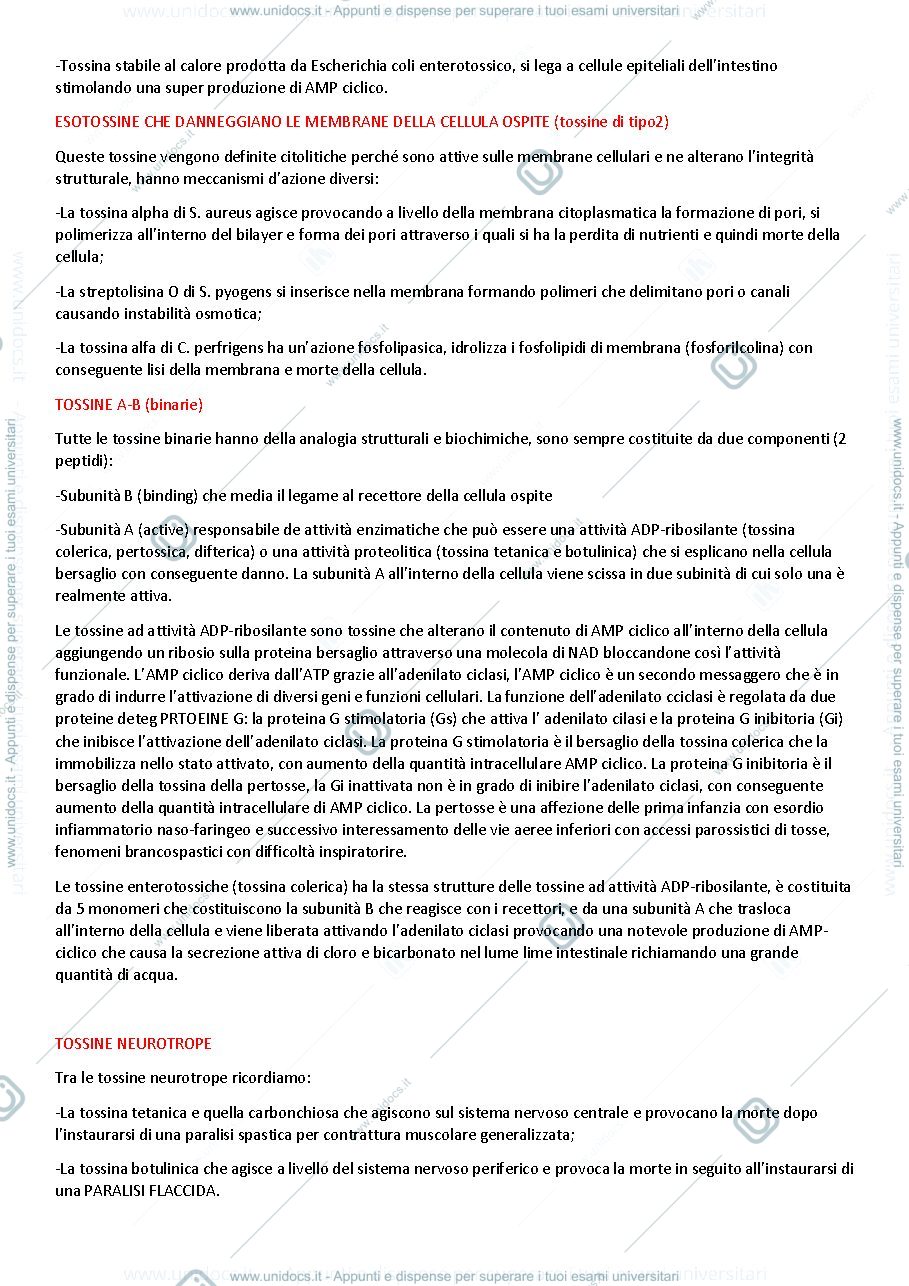 Anteprima pagina 2 — esotossine